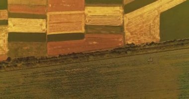 Olgun altın buğday tarlası dokusunda uçan dron hasat etmeden önce.