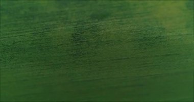 Yeşil çimen ve güzel bulut gölgeleriyle dolu yemyeşil bir arazi..