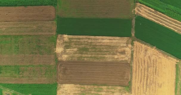 Landwirtschaftliche Flächen, auf denen Obst und Gemüse in der Landschaft angebaut wird, Blick von oben. — Stockvideo