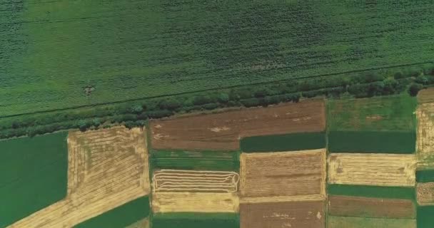 Tarım arazisinin hava görüntüleri çeşitli ekinlerle bölümlere bölünmüş.. — Stok video
