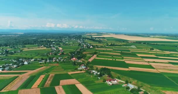 Luftaufnahmen landwirtschaftlicher Landschaft mit Straße in der Mitte unter blauem Himmel. — Stockvideo