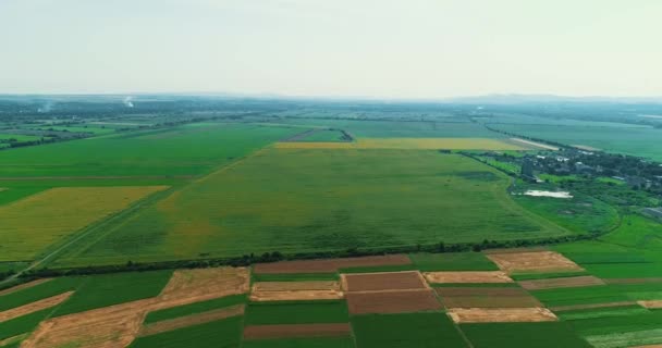 Images aériennes du paysage d'herbe verte travaillé par l'agriculteur fauché et champs pulvérisés après l'ensemencement . — Video