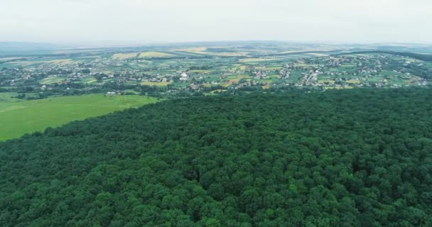 Flygfoto av en by i Ukraina på våren när allt växer och blommar. — Stockvideo