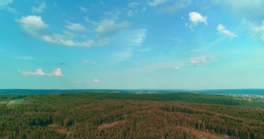 Çevresel hasar ve suç kavramı. Sonbahar ormanlarının ve yerlerin geniş bir alanı insansız hava aracından kesilen ağaçlarla doluydu..