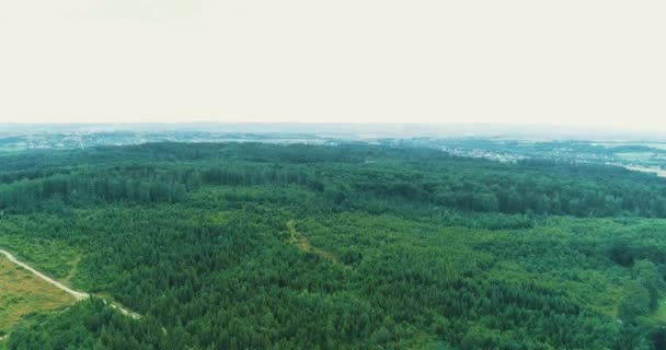 環境被害と犯罪の概念。緑の森が広がり、ドローンから木がたくさん伐採されていました。. — ストック動画