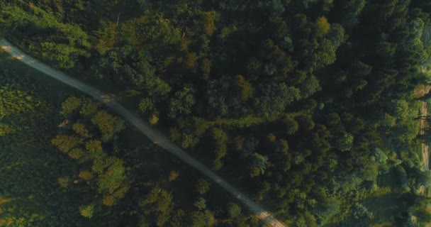 Drone images des poumons de la planète c'est-à-dire de la forêt verte majestueuse en jeu dans la déforestation . — Video