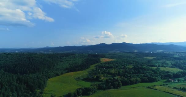 Drone images des poumons de la planète c'est-à-dire de la forêt verte majestueuse en jeu dans la déforestation . — Video