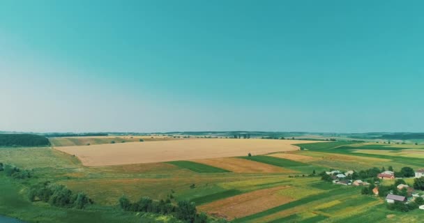 푸른 하늘 아래서 추수 할 준비가 되어 있는 푸른 초목 과 농작물 이 있는 아름다운 농지를 보여 주는 드론 사진. — 비디오