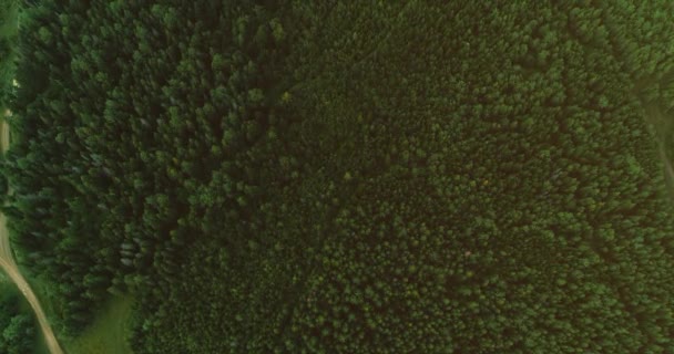 Forêts de campagne luxuriantes à partir de drones tournant au-dessus de la cime des arbres .