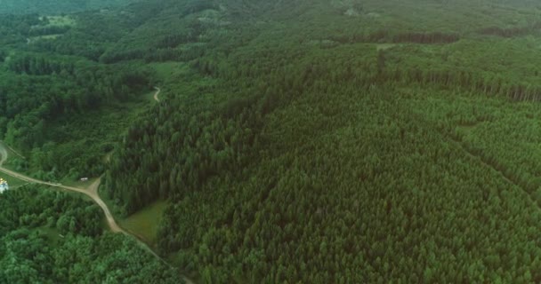 Floresta rural exuberante de drone girando acima das copas das árvores . — Vídeo de Stock