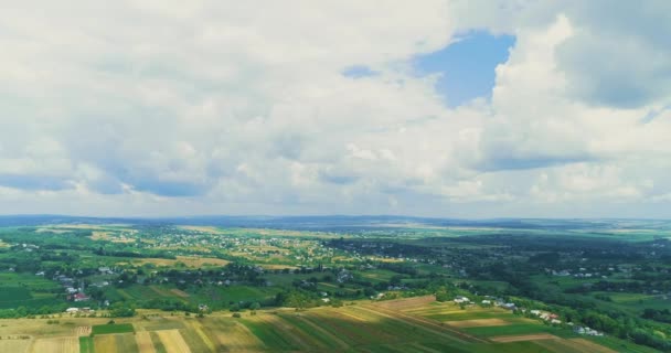 Вид на безпілотник красивих сільськогосподарських угідь з пишною зеленню і готовими до збору врожаю під ясним блакитним небом . — стокове відео