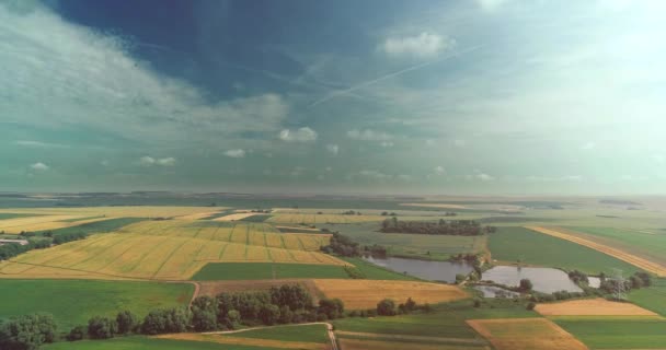 Vidéo aérienne d'un paysage incroyable, avec diverses terrasses de cultures par une belle journée . — Video