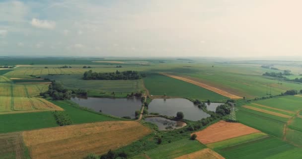 Luchtfoto 4k beelden met een overzicht van een kleine visvijver in het midden van een groot cultuurlandschap. — Stockvideo