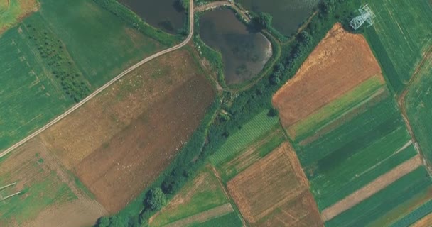 Luftaufnahmen in 4k mit einem Überblick über einen kleinen Fischteich inmitten einer großen Kulturlandschaft. — Stockvideo