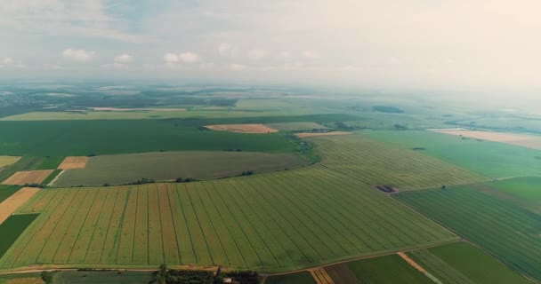 Vídeo aéreo de un paisaje increíble, con varias terrazas de cultivos en un hermoso día . — Vídeo de stock