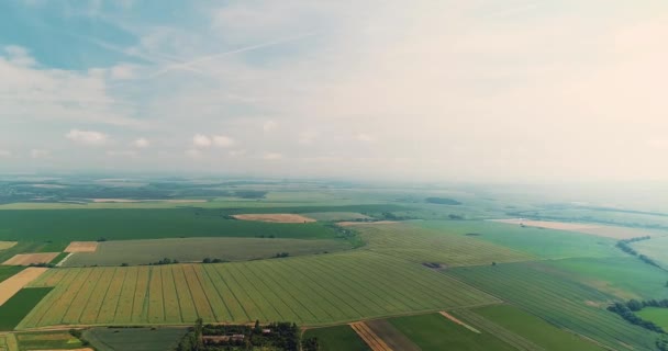 Luftbild einer erstaunlichen Landschaft mit Terrassen verschiedener Nutzpflanzen an einem schönen Tag. — Stockvideo