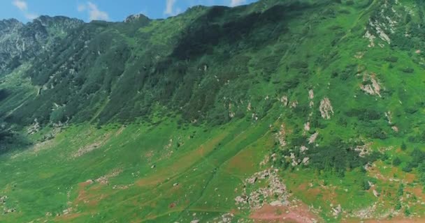 Uitzicht op Transfagarash bergkam bedekt met groen in het zomerseizoen. — Stockvideo