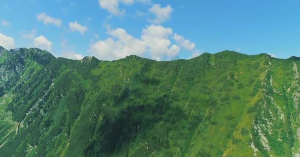 Flyg över grön skog och bergskedja med klar molnlandskap i bakgrunden i mjukt ljus. — Stockvideo