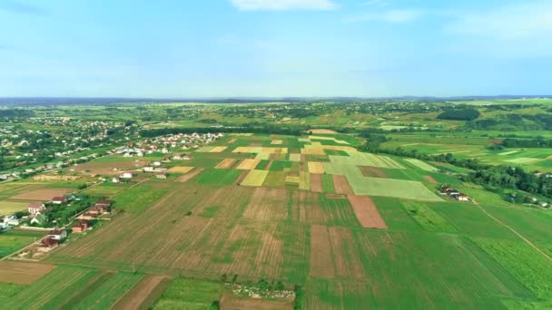 Una vista aérea de arriba hacia abajo de ricas mansiones hermosas en el área rural con vastos campos de cultivo . — Vídeos de Stock