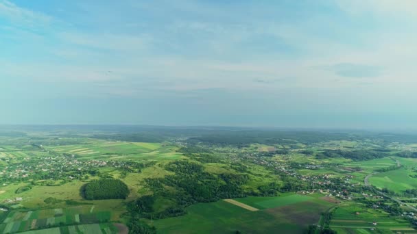 Dron skenuje farmu, analyzuje zelené pole s řadami plodin shora. — Stock video