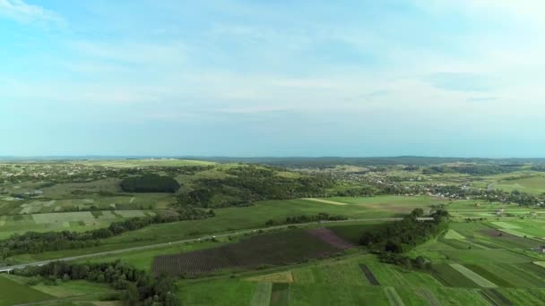 Dron flyger över fantastiska vackra gården fält med frodig ekologisk vegetation. — Stockvideo
