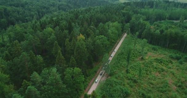 차한 줄 이 고속 도로를 따라 빽빽 한 숲 한 가운데로 달리고 있습니다. — 비디오