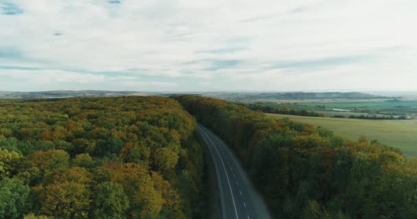 Tiro aéreo de estrada rural que passa entre uma bela floresta de queda . — Vídeo de Stock