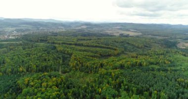 Parlak sonbahar renklerinde güzel tarım alanlarının panoramik görüntüleri.
