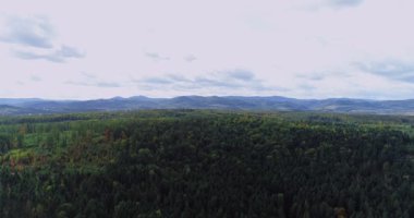 Arka planda orman ve dağ sırasının 4k hava görüntüsü.