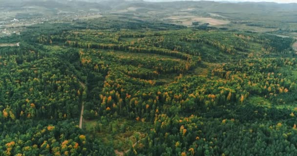 Panoramische beelden van prachtige landerijen in heldere herfstkleuren. — Stockvideo
