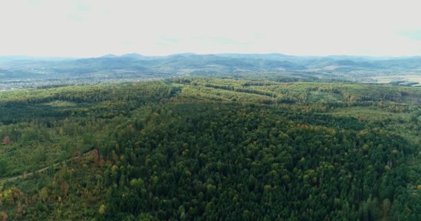 4k аерофотозйомка безпілотного лісу та гірського хребта на фоні . — стокове відео