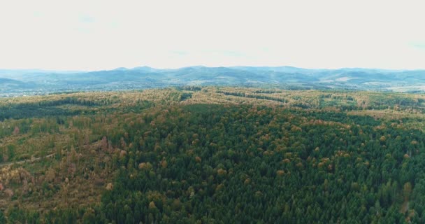 Panoramische beelden van prachtige landerijen in heldere herfstkleuren. — Stockvideo