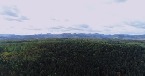 4k letecký pohled drone záběry lesa a pohoří v pozadí. — Stock video