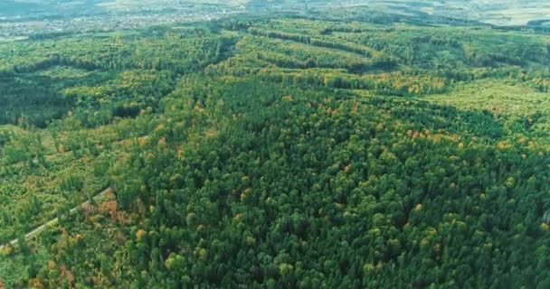 4k vista aerea drone filmato di foresta e catena montuosa in background . — Video Stock