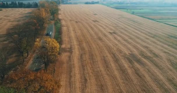 Aerial view drone over harvested field after dry grass was cutwed. — Stock video