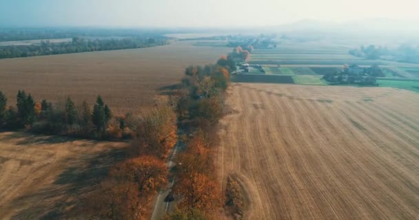 Vue aérienne drone sur le champ récolté après la tonte de l'herbe sèche . — Video