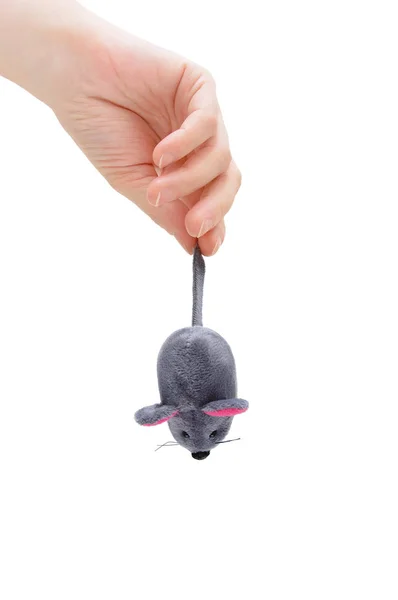 Closeup Caucasian Girl Hand Holds Gray Toy Mouse White Isolate — Stock Photo, Image