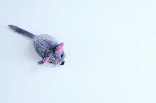 Серый Мягкий Мышь Игрушка Белом Фоне Вид Сверху — стоковое фото