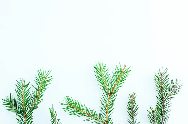 Ramas Árbol Navidad Verde Sobre Fondo Blanco Cerca Vista Desde —  Fotos de Stock