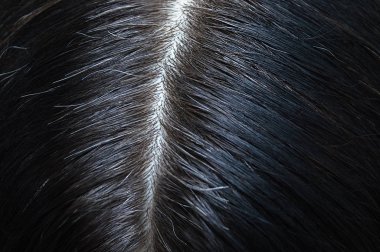 Head of a woman with black gray hair close-up. View from above. clipart