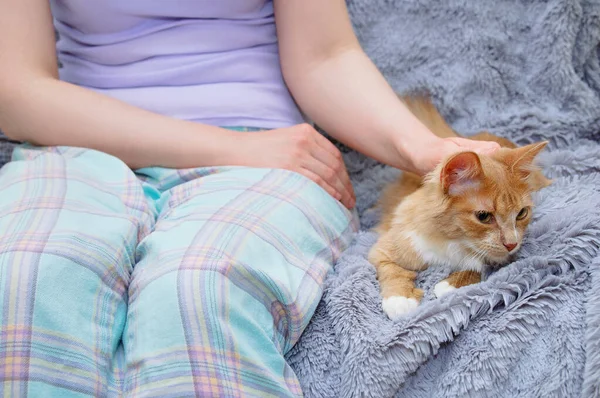 Caucasian Woman Red Kitten Sitting Bed Gray Plaid — Stock Photo, Image