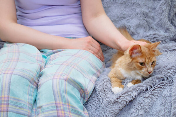 Caucasian woman with red kitten sitting on the bed, gray plaid.