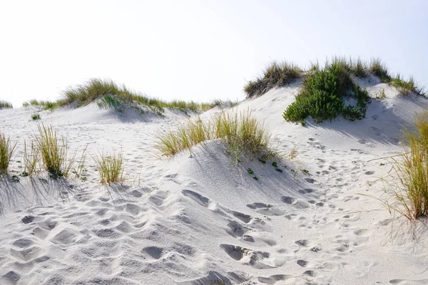 Open dunes vegetation and footprints in white sand beach near ilhavo, Portugal, during a summer day. Stock Photo