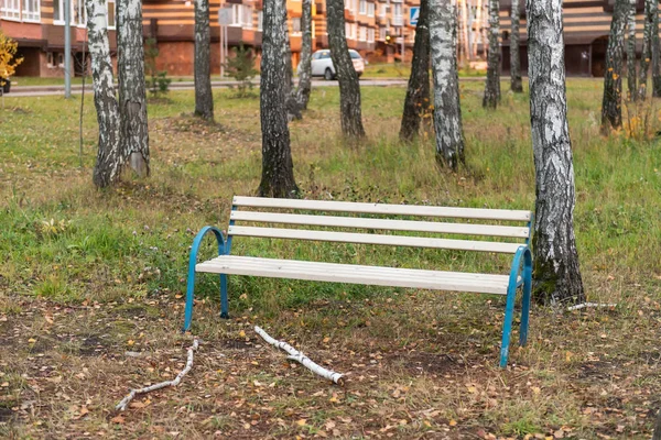 Banco Bajo Los Árboles Parque Abedul Otoño Banco Vacío — Foto de Stock