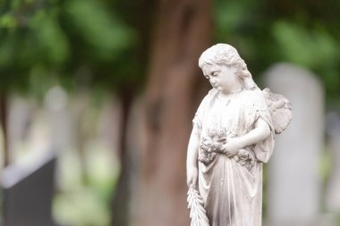 Bratislava 'nın merkezinde eski bir mezarlık. Anıt yosunlarla kaplı. Küçük melek aşağıya bakıyor..