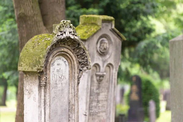 Antiguo Cementerio Centro Bratislava Monumento Está Cubierto Musgo —  Fotos de Stock