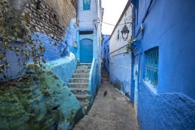 Mavi şehrin güzel manzarası CheFCHAOUEN, Medina 'daki MoroCCO. Geleneksel Fas mimari detayları ve boyalı evler. Kapısı olan bir sokak ve kemerli parlak mavi duvarlar