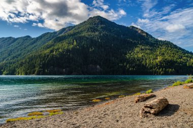 Sahilden güneşli bir günde, Crescent Gölü manzarası, Olympic National Park, Washington State, Usa.