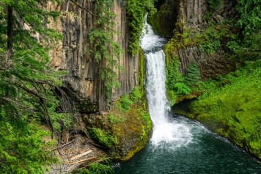 Toketee Falls, Kuzey Umpqua Ulusal Ormanı, Oregon, Usa