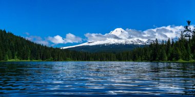 Scenic landscape of Trillium Lake and Mount Hood on a sunny day, early summer or late spring, Oregon, USA. clipart